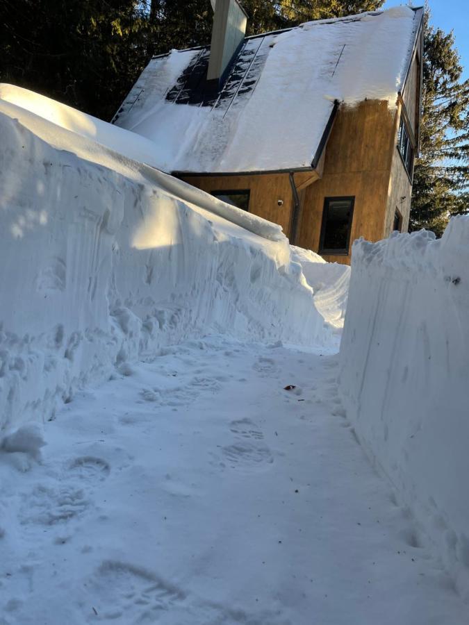 Chalet Fimili Vyšná Boca 外观 照片